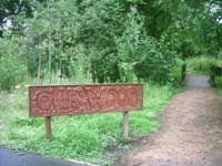 Our Wood